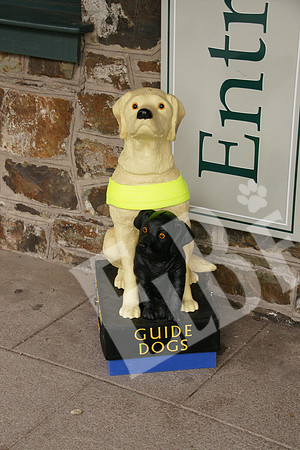 Ireland_677_20110803