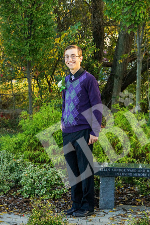 YC14HCCrt_252_101714