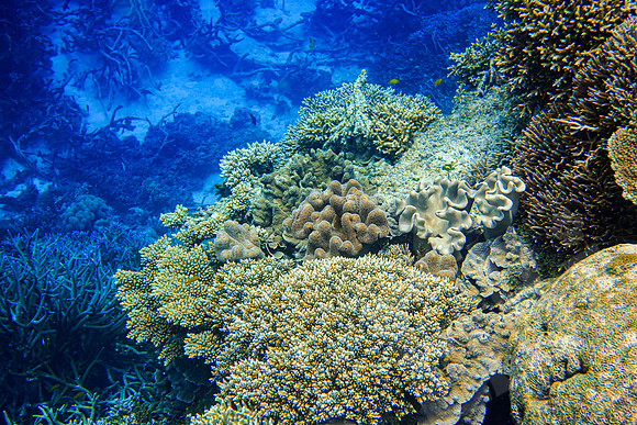 049_PortDouglas_012120