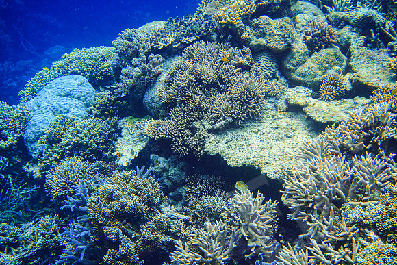 042_PortDouglas_012120