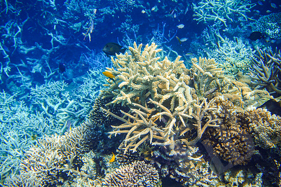 092_PortDouglas_012120