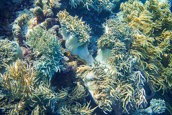 112_PortDouglas_012120
