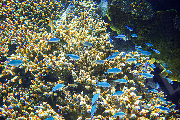 114_PortDouglas_012120