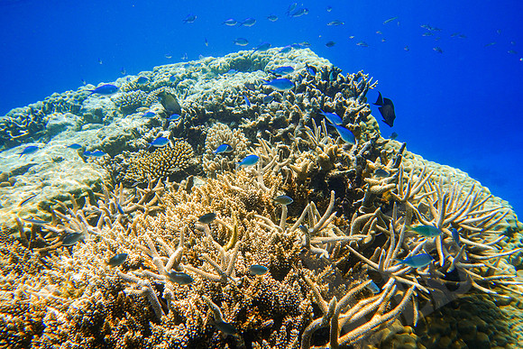 141_PortDouglas_012120