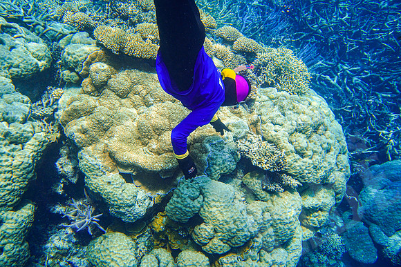 146_PortDouglas_012220