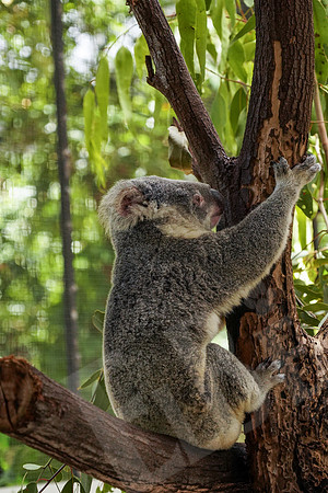 233_PortDouglas_012220