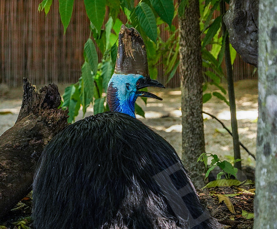 243_PortDouglas_012220