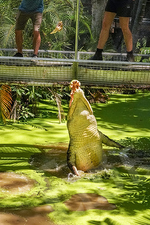 289_PortDouglas_012220