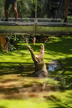 291_PortDouglas_012220
