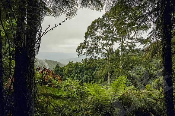 425_Sydney_012720