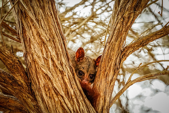 706_Melbourne_012820