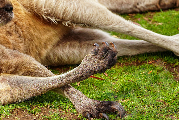 840_Tasmania_013020