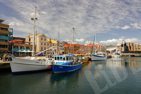 939_Tasmania_013020
