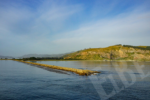 0946_Dunedin_020220