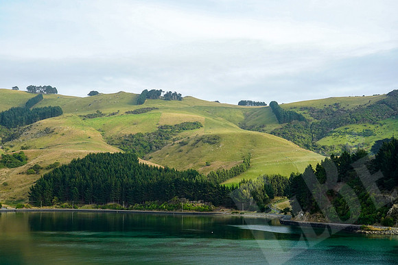 0950_Dunedin_020220