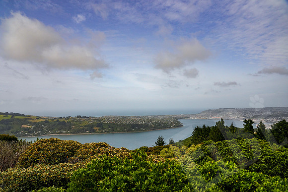 0960_Dunedin_020220