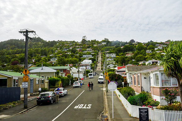 0968_Dunedin_020220