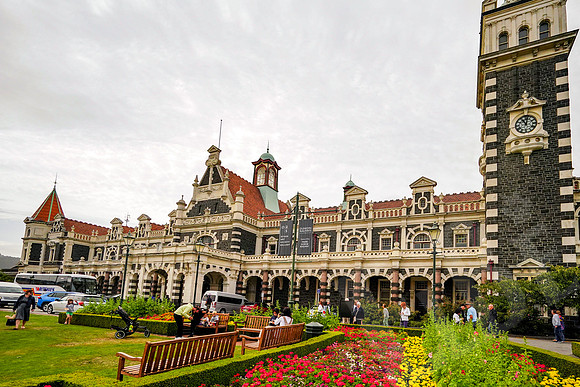 0981_Dunedin_020220