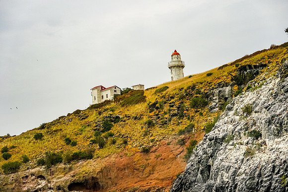 1022_Dunedin_020220