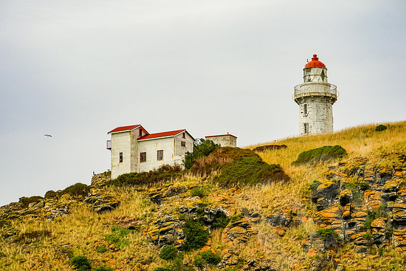 1036_Dunedin_020220