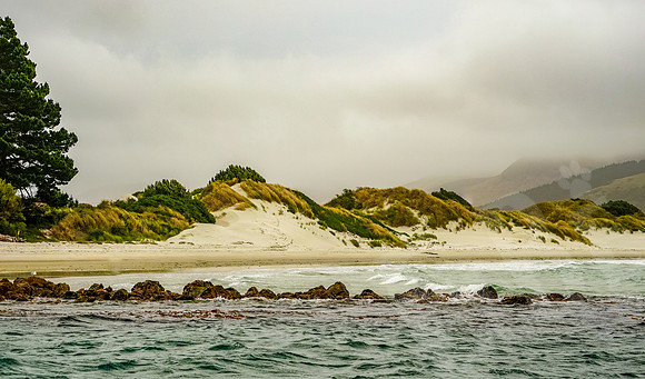 1077_Dunedin_020220