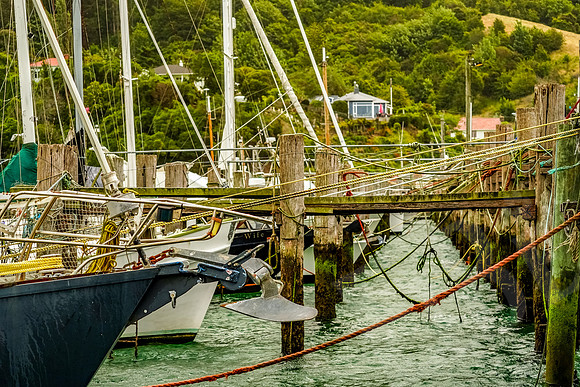 1082_Dunedin_020220