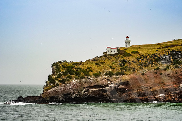 1102_Dunedin_020220