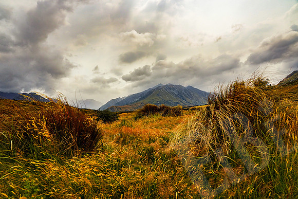 1233_Christchurch_020320