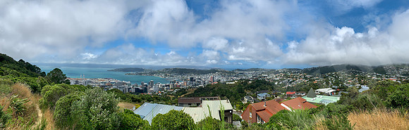 1254_Wellington_020320