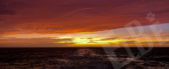 1277_Wellington_020320