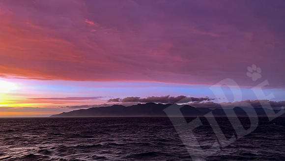 1279_Wellington_020320