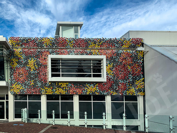 1441_Napier_020420-Edit