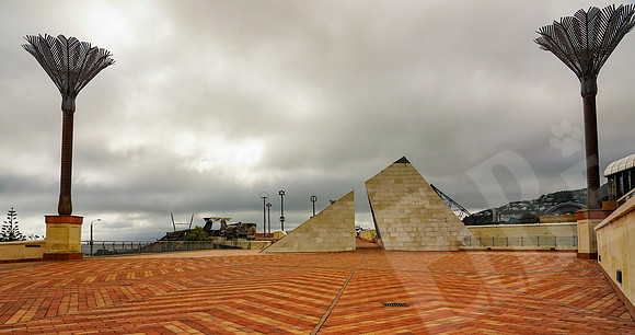1291_Wellington_020420