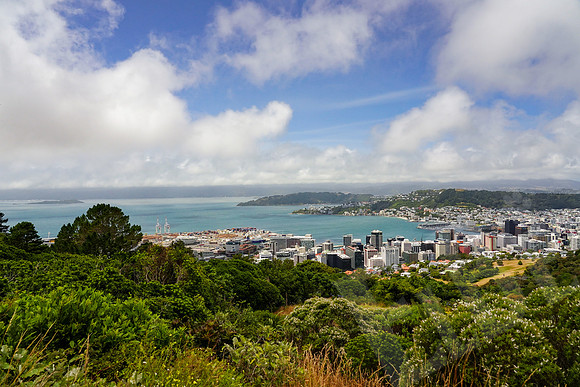 1307_Wellington_020420