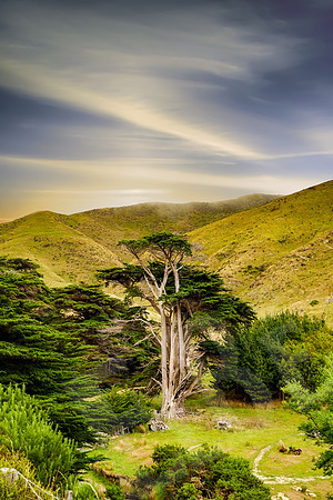 1319_Wellington_020420-Edit
