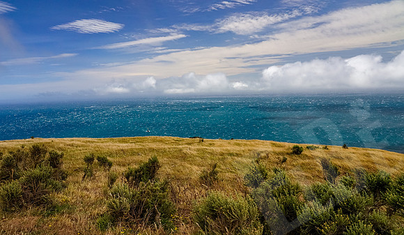 1327_Wellington_020420