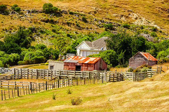 1332_Wellington_020420