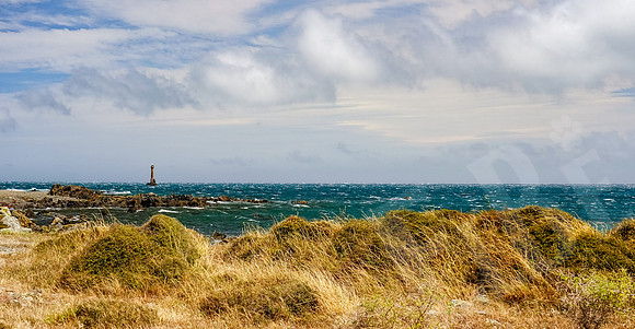 1336_Wellington_020420