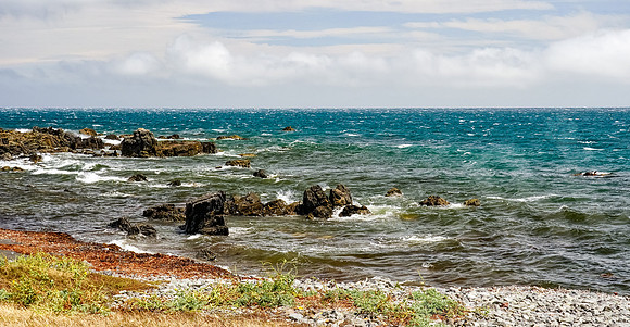 1337_Wellington_020420