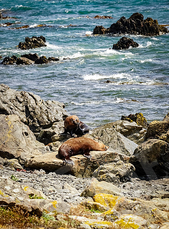 1340_Wellington_020420