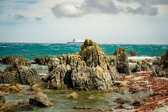 1346_Wellington_020420