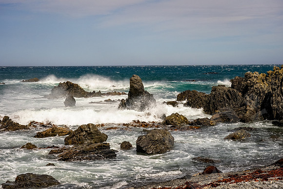 1387_Wellington_020420