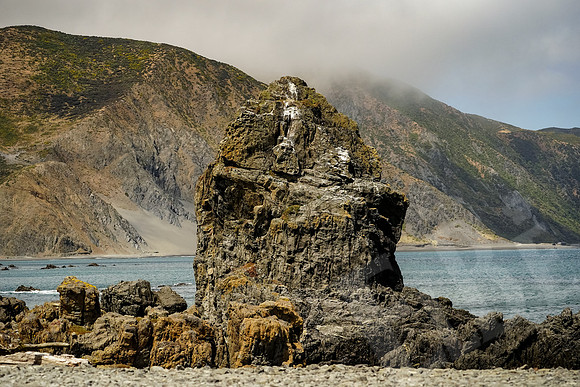 1396_Wellington_020420