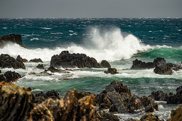 1397_Wellington_020420