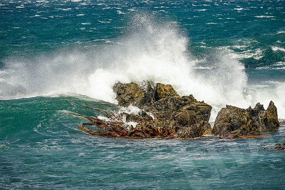 1398_Wellington_020420