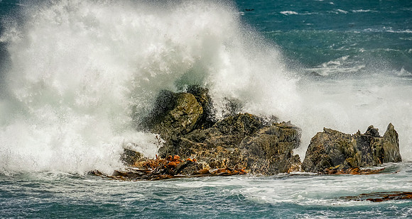 1403_Wellington_020420