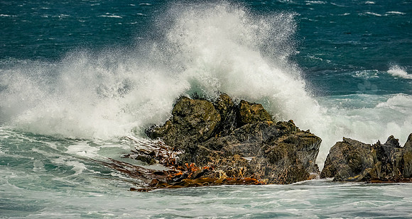 1407_Wellington_020420