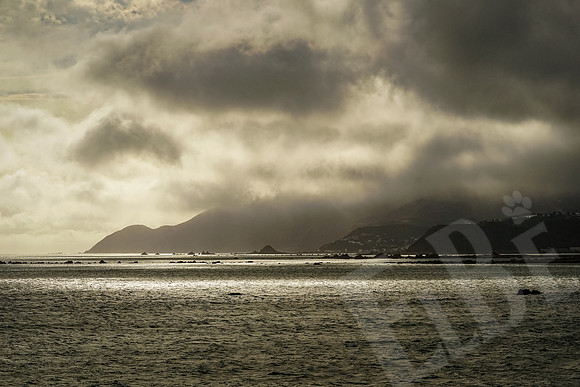 1419_Wellington_020420