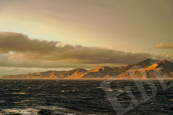 1426_Wellington_020420