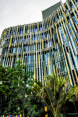 1791_Auckland_020720